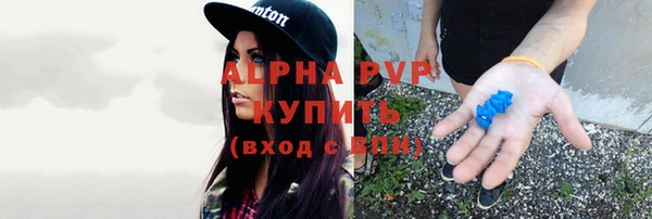 сатива Верхний Тагил