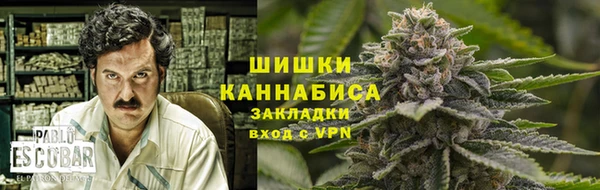 сатива Верхний Тагил